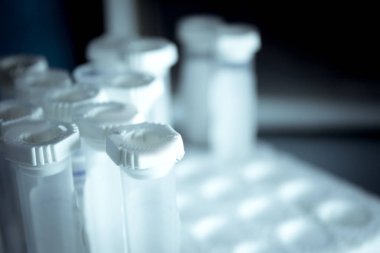 Farklı hastalıkların tedavisi veterinerlik kullanımına yönelik şişeleri. Hiçbir insan