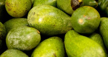 Sebze biber, kabak, domates çeşitli. Hiçbir insan