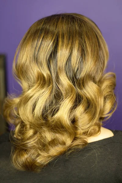 Retrato de mulher com cabelo castanho e ondas 40s — Fotografia de Stock