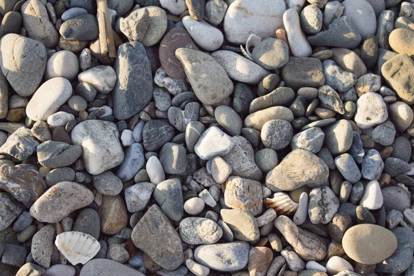 Antecedentes Pedras Praia Não Pessoas — Fotografia de Stock
