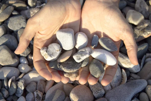 Manos Mujer Tocando Piedras Playa Piedras Gris — Foto de Stock