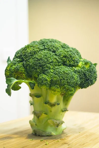 Stehender Brokkoli Simuliert Einen Baum Kein Volk — Stockfoto
