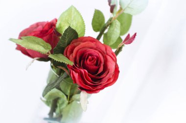 Cam bir vazoda dekore eden yapay kırmızı güller. Kimse yok.