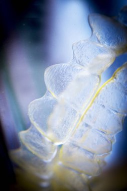 Görünmez diş temizliği için suya batırılmış.