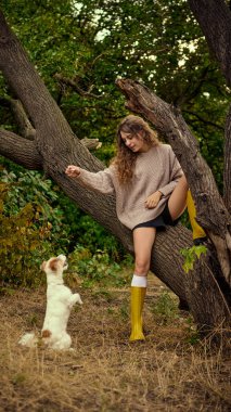 Ormanda neşeli bir şekilde küçük köpekleri eğiten bir kadın. Evcil hayvan arkadaşlığı, açık hava yaşam tarzı, boş zaman, hayvan bağı ve doğadaki neşeli duygular kavramı..