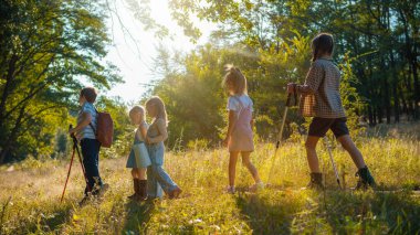 Çocuklar güneş ışığı ve yürüyüş malzemeleriyle yaz otlaklarını keşfediyorlar. Sürdürülebilir çocukluk kavramı, aile yaşam tarzı, açık hava turizmi, doğa eğitimi ve çevre dostu yetiştirme.