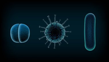 Ortak insan virüs ya da bakteri bir mikroskop altında kapat