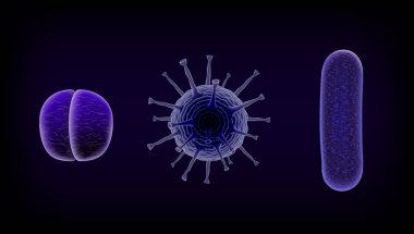 Ortak insan virüs ya da bakteri bir mikroskop altında kapat