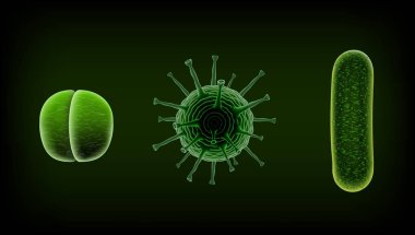 Ortak insan virüs ya da bakteri bir mikroskop altında kapat