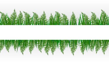 Tropikal çiçek Fern Bacground boşaltmak ile. Eps10 vektör