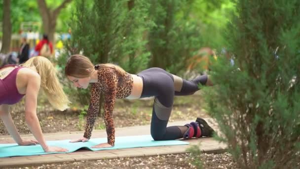 Deux athlètes féminines impliquées dans la remise en forme dans le parc, faire des levées de jambes sur le tapis . — Video