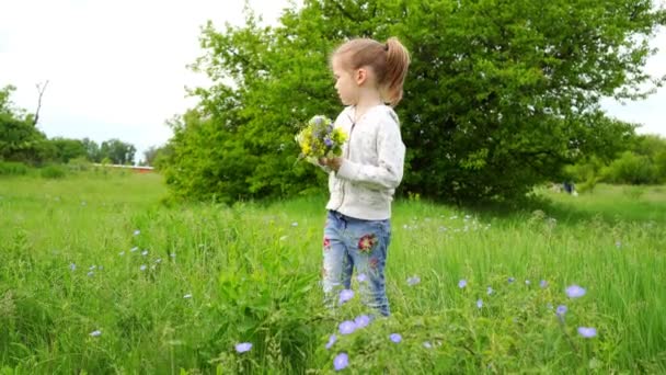 Menina escolhendo um buquê de flores silvestres em um prado na primavera . — Vídeo de Stock