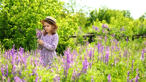 Маленькая девочка в шляпе собирает букет полевых цветов на лугу . — стоковое фото