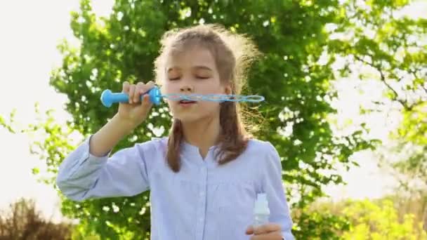 Klein meisje opblazen zeepbellen op een picknick — Stockvideo