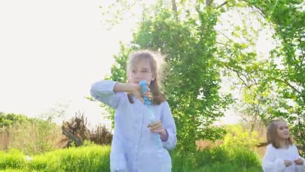 Маленькая девочка надувает мыльные пузыри на пикнике — стоковое видео