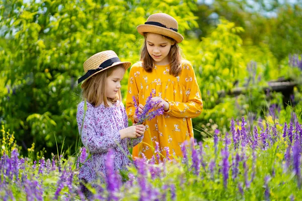 Niñas en sombrero recogiendo un ramo de flores silvestres en un prado . — Foto de Stock