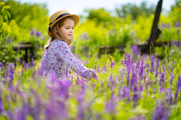 Klein meisje met hoed plukkend een ruiker van wilde bloemen in een weide. — Stockfoto