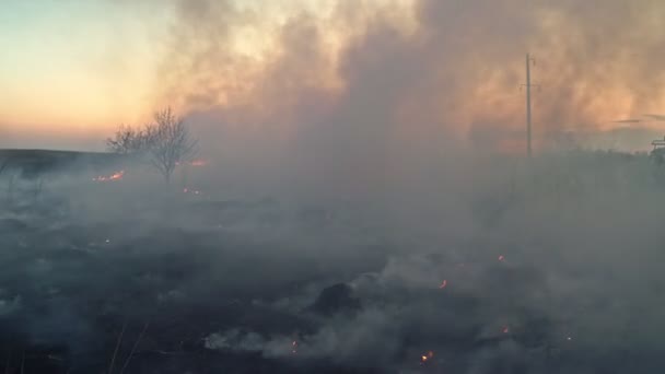 V poli hoří suchá tráva, ve vzduchu, kouř a saze. — Stock video