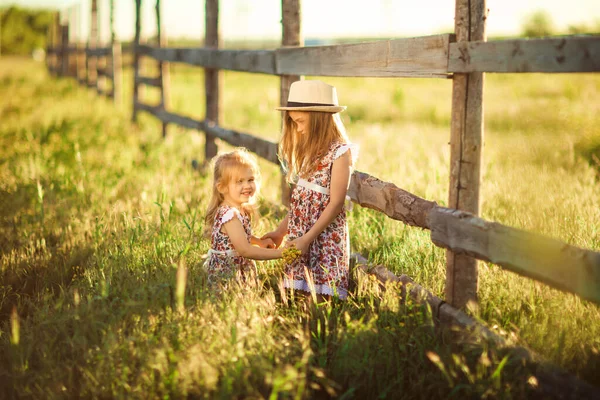 Kinderen, meisjes met hoed naast het hek in het dorp. wandelingen op het platteland. — Stockfoto