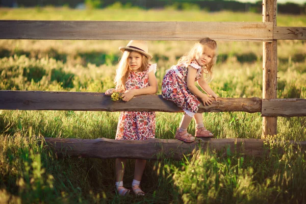 Niños, niñas con sombrero sentadas en la valla de la aldea. paseos por el campo . —  Fotos de Stock