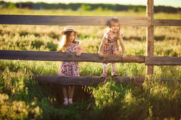 Niños, niñas con sombrero sentadas en la valla de la aldea. paseos por el campo . —  Fotos de Stock