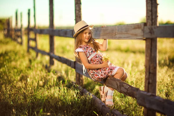 Niña, niña con sombrero sentada en la valla en la aldea. paseos por el campo . —  Fotos de Stock