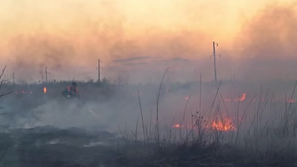 Redder, brandweerman aan het werk. veld verbrandt droog gras, in lucht, rook en roet. — Stockvideo