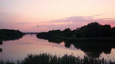 Nehirdeki güzel akşam manzarası. Gölde gün batımı. Kuşlar suyun üzerinde uçar.
