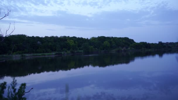 Abendweiher. Haubentaucher taucht auf und versinkt wieder im Wasser. — Stockvideo