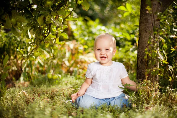 Liten flicka sitter på gräs i trädgården under små äppelträd. Trädgårdsodling. — Stockfoto