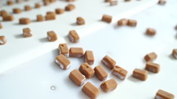 Cukrárna. mléčné bonbóny na výrobní lince dopravníku. — Stock video