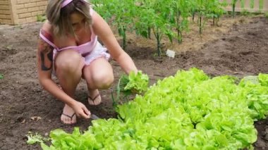 Kız bahçede dereotu kesmiş. Bahçe işleri..