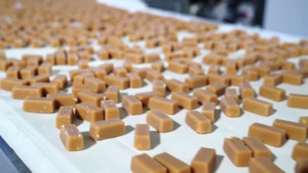 Fertige Sahnebonbons auf einem Förderband. Süßwarenfabrik. — Stockvideo