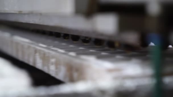 Close-up. Manufacture of milk sweets. Form of starch. conveyor production line. — Stock Video