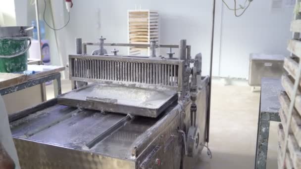 Machine for cutting Turkish delight confectionary. production of sweets. — Stock Video