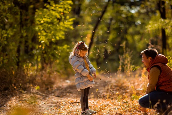 Tata bawi się z córką, rzuca żółte liście. spacery jesienią Park. — Zdjęcie stockowe