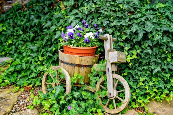 Plantador de bicicleta decorativo de madeira com vaso de flores no jardim. paisagismo . — Fotografia de Stock