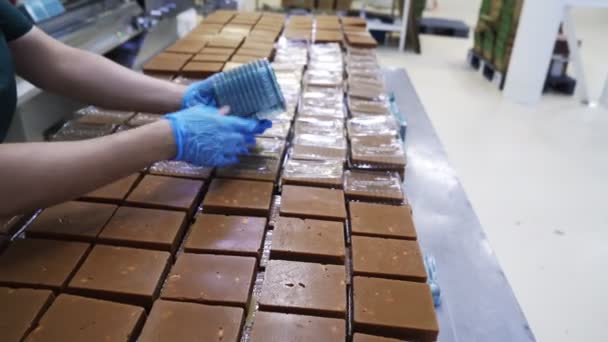 Fábrica de dulces de trabajador paquetes manualmente en cartones sherbet . — Vídeos de Stock