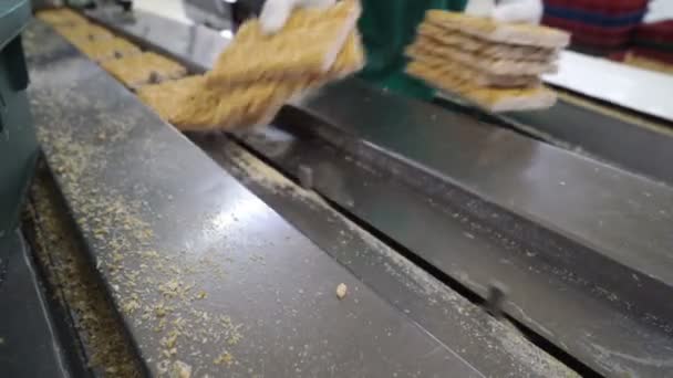 Az édességgyár dolgozói gyorsan tettek mogyorótörmeléket a szállítószalagra. — Stock videók