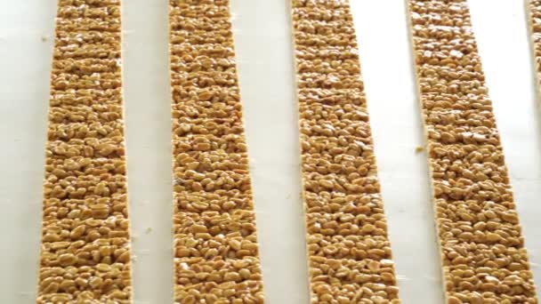 Long bars peanut brittle on industrial conveyor line. confectionery factory. — Stock Video