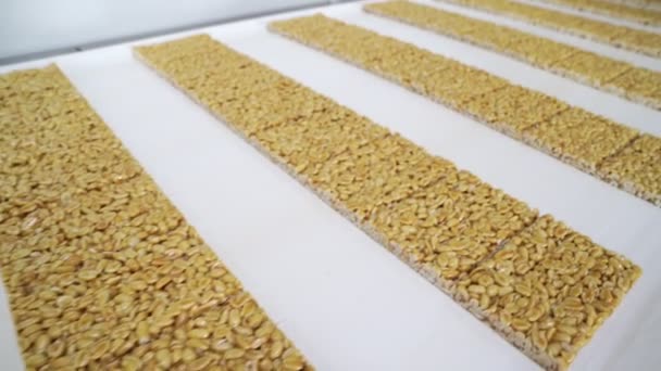 Peanut brittle on industrial conveyor line. confectionery factory. — Stock Video