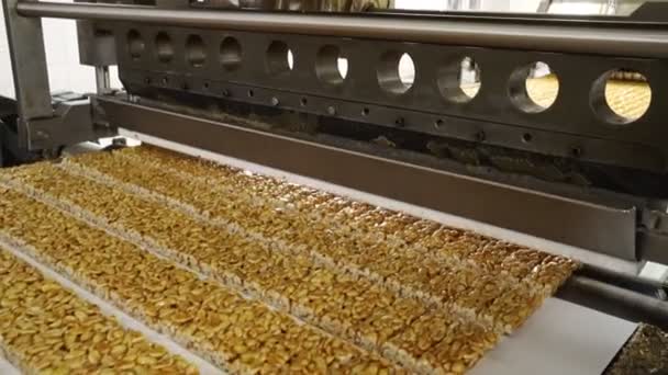 Confectionery factory. cutting bar of peanut brittle on industrial conveyor line — Stock Video