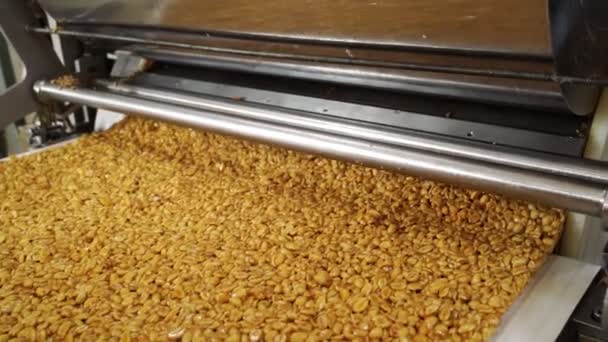 Big bar of peanut brittle on industrial conveyor line. confectionery factory. — Stock Video