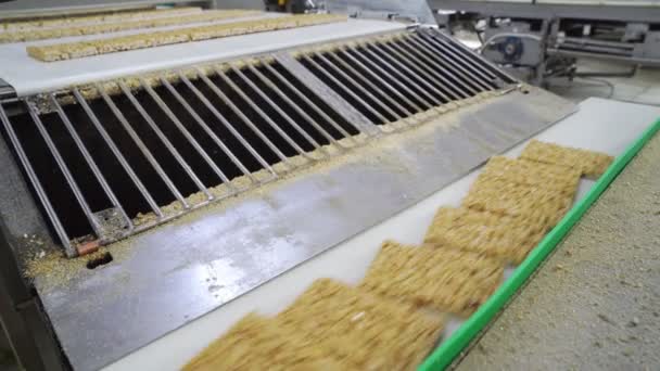 Fini arachide fragile sur la ligne de convoyeur industriel. usine de confiserie. — Video