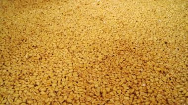 Yakın plan. Fıstık ezmesi endüstriyel taşıma hattında. Şekerleme fabrikası.