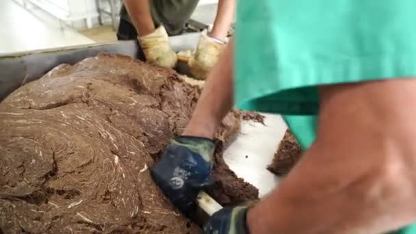 Кондитерські робітники вручну відокремлюються від маси шматків Халви . — стокове відео