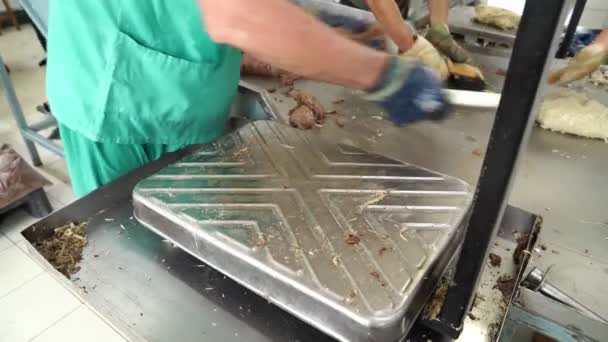 Édességipari dolgozók kézzel leválasztott halva darabok és lemért — Stock videók