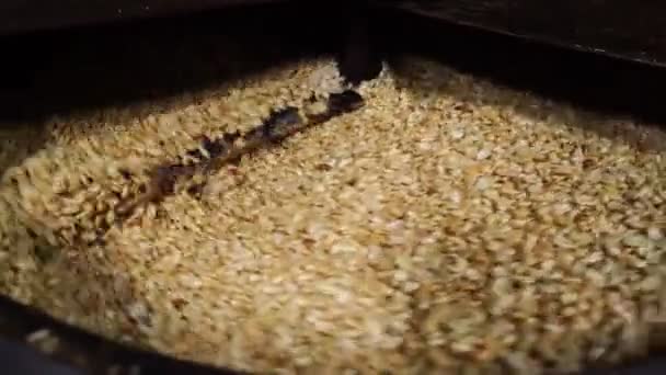 Εξοπλισμός για το ψήσιμο αραχίδων στο εργοστάσιο ζαχαροπλαστικής. — Αρχείο Βίντεο