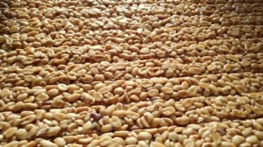 Şekerleme fabrikası. Endüstriyel taşıma hattında uzun çubuklar fıstık ezmesi şekeri.