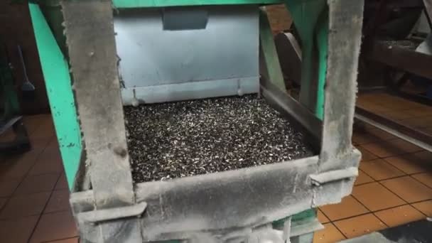 Machine. sifter sunflower seeds, mechanical sorter on the production. — Stock Video